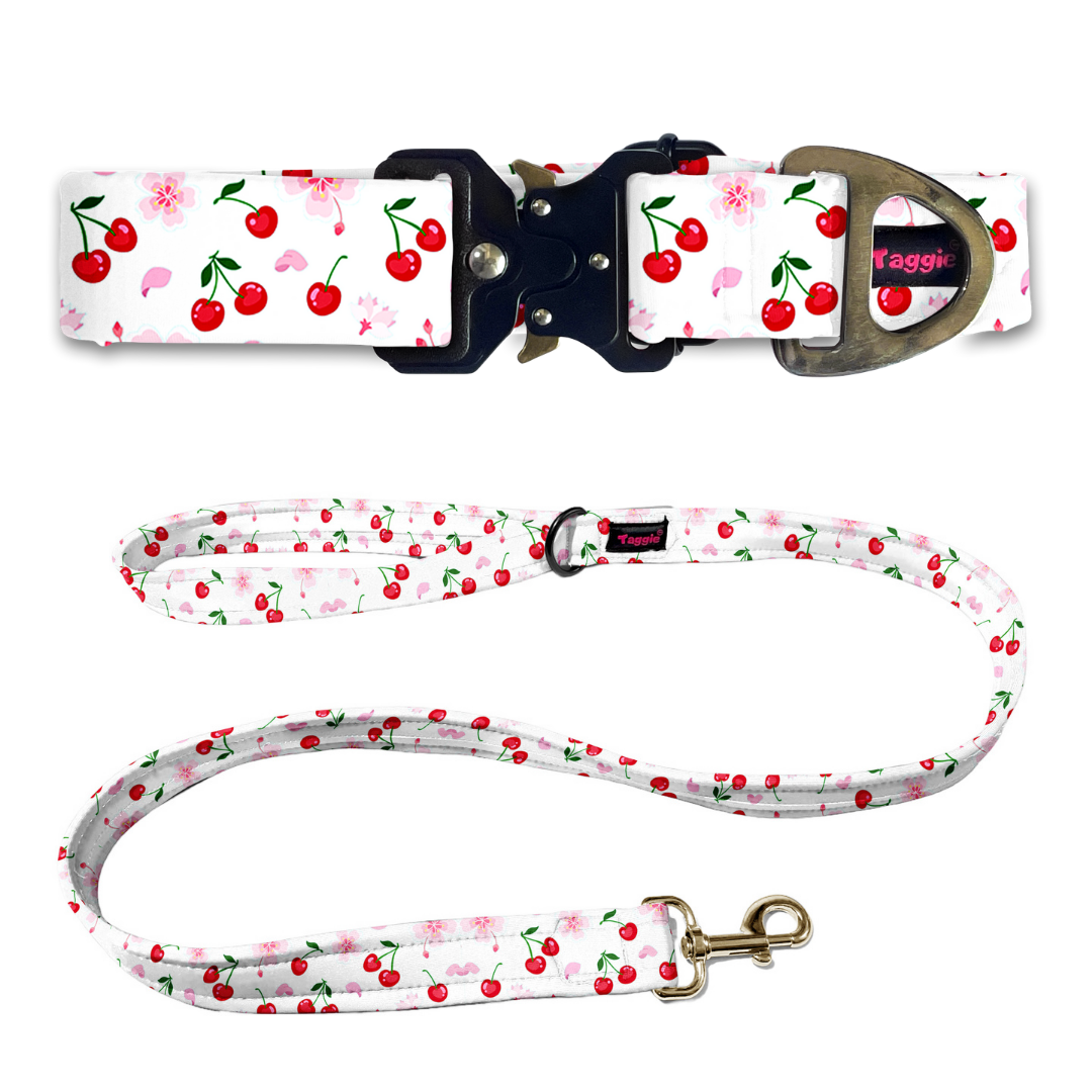 Cherry Collar-Leash