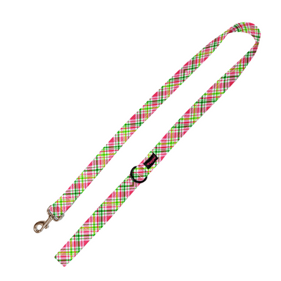 Wave of Colour Leash
