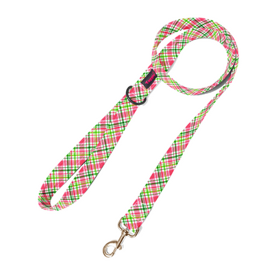 Wave of Colour Leash