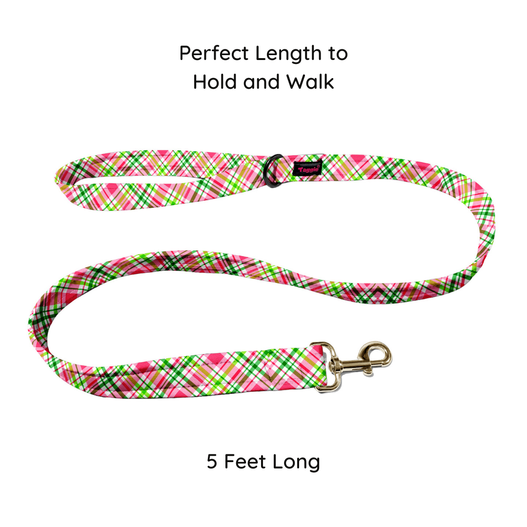 Cherry Checks Leash