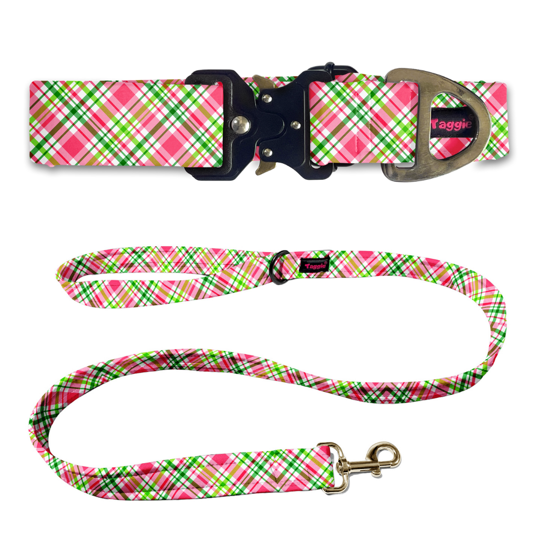 Cherry Checks Collar-Leash