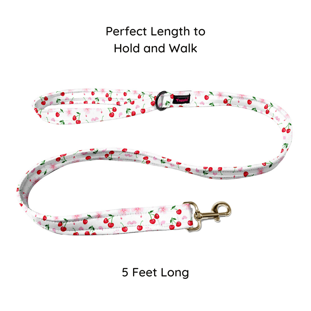 Cherry Collar-Leash