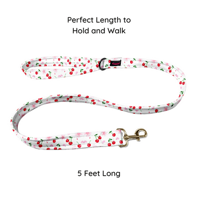 Cherry Collar-Leash