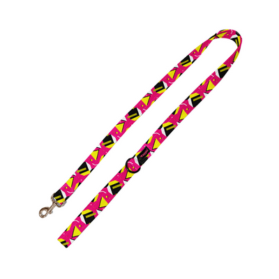 Chic Chevron Leash