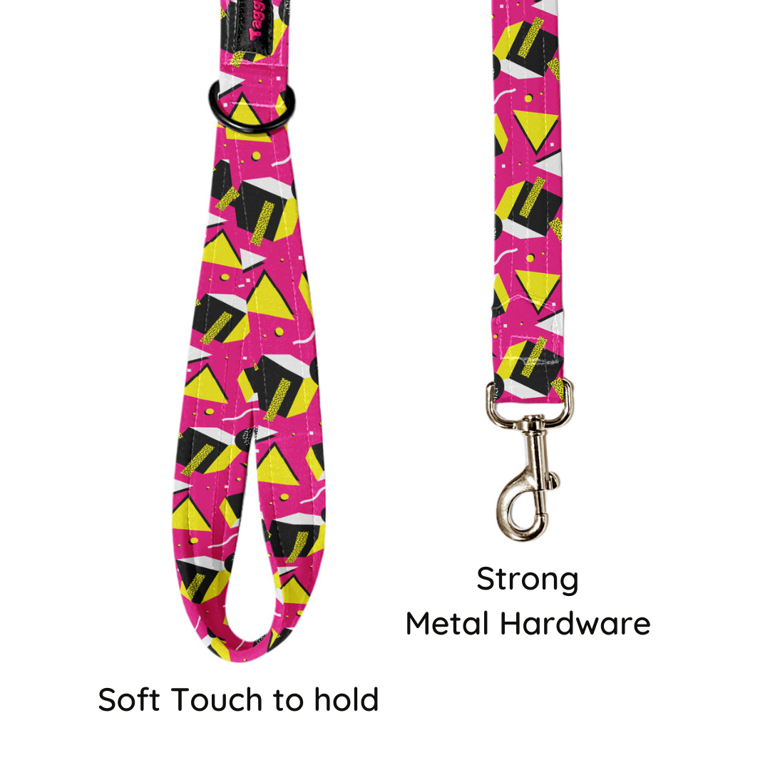 Chic Chevron Leash