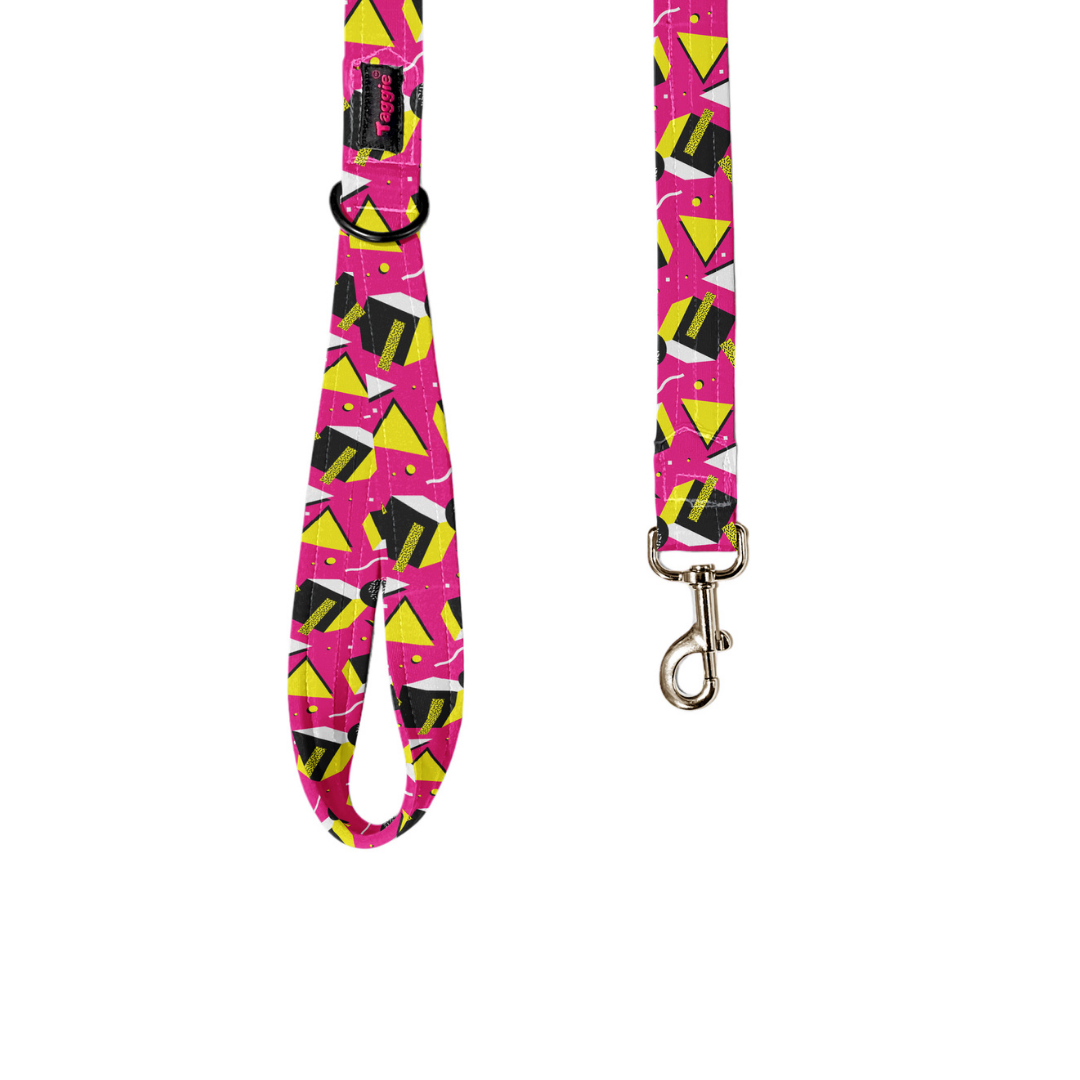 Chic Chevron Leash