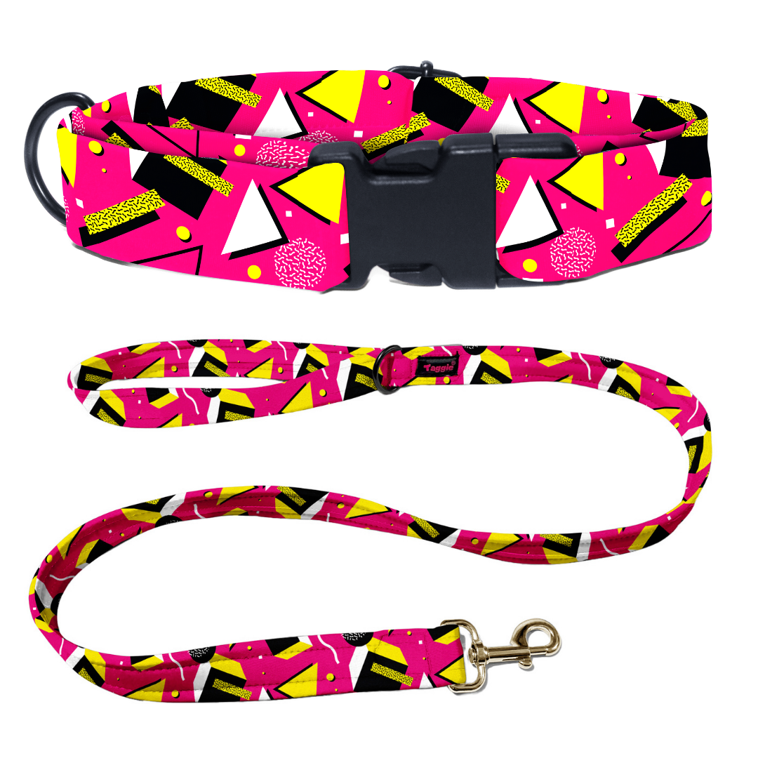 Chic Chevron Collar-Leash