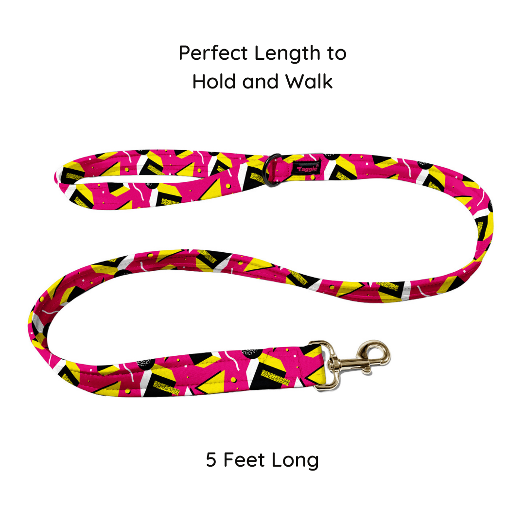 Chic Chevron Collar-Leash