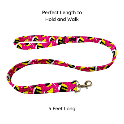 Chic Chevron Collar-Leash