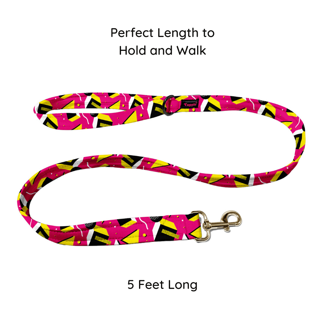 Chic Chevron Leash