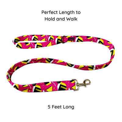 Chic Chevron Leash