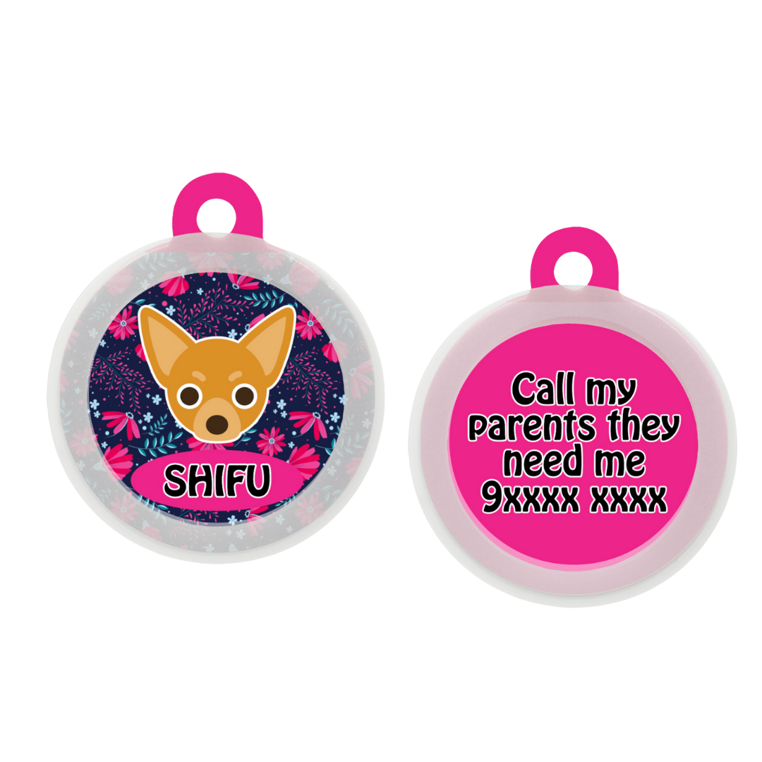 Chihuahua  - Collar & Tag