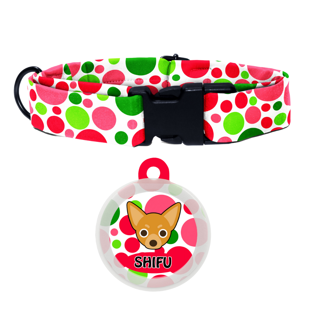 Chihuahua  - Collar & Tag