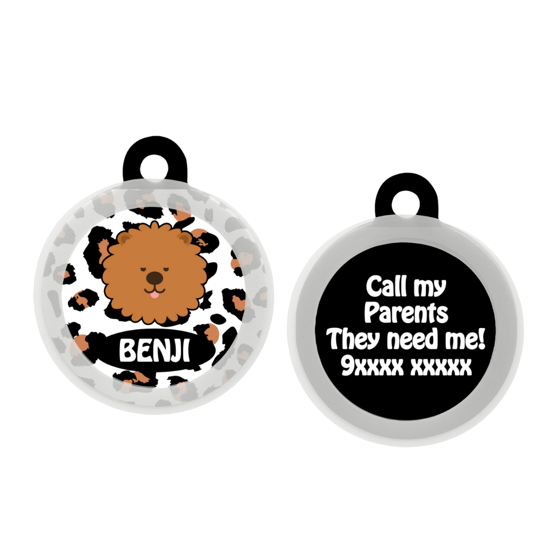 Chow Chow - Collar & Tag