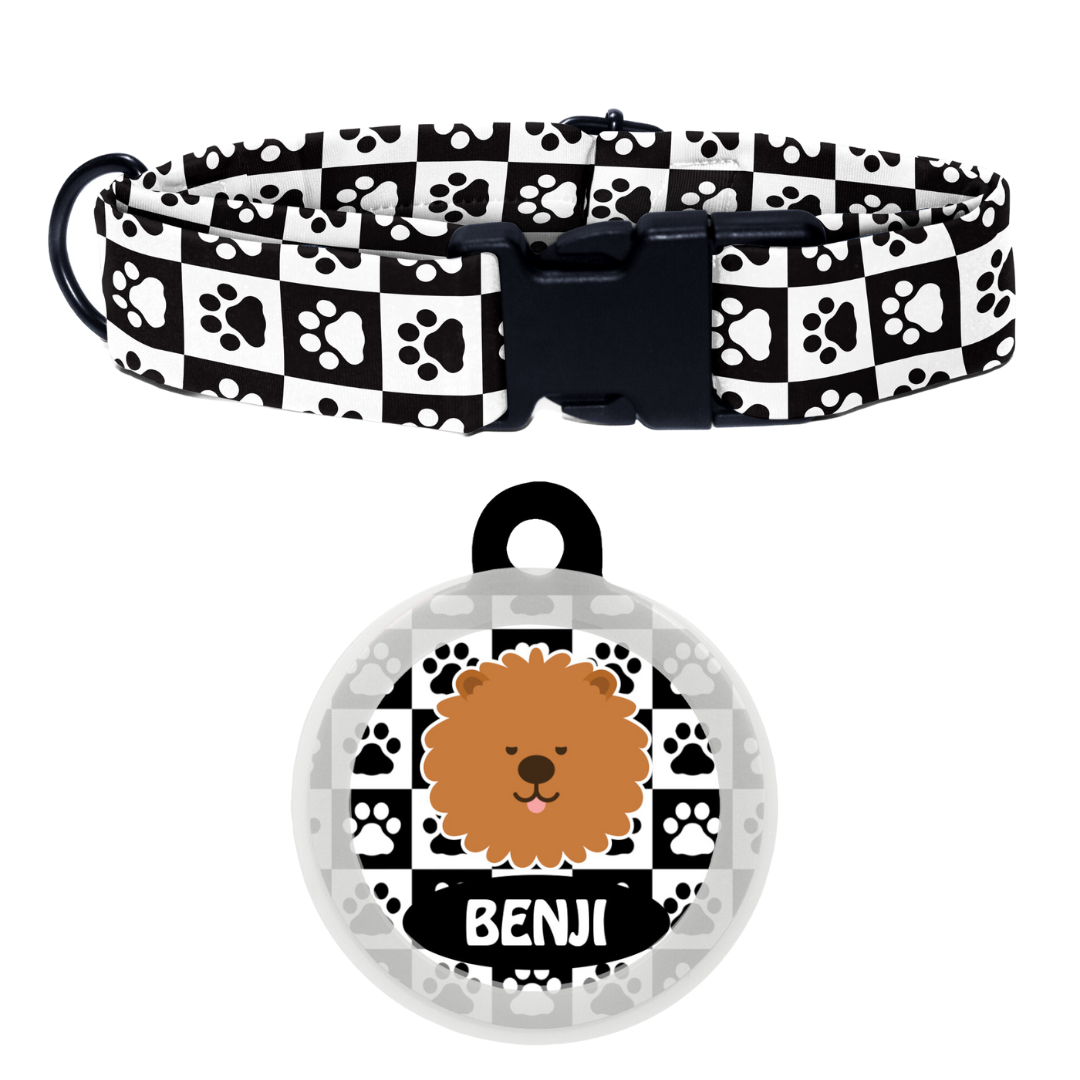 Chow Chow - Collar & Tag