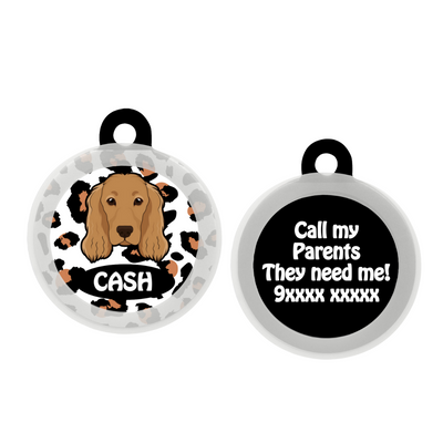 Cocker spaniel  - Collar & Tag