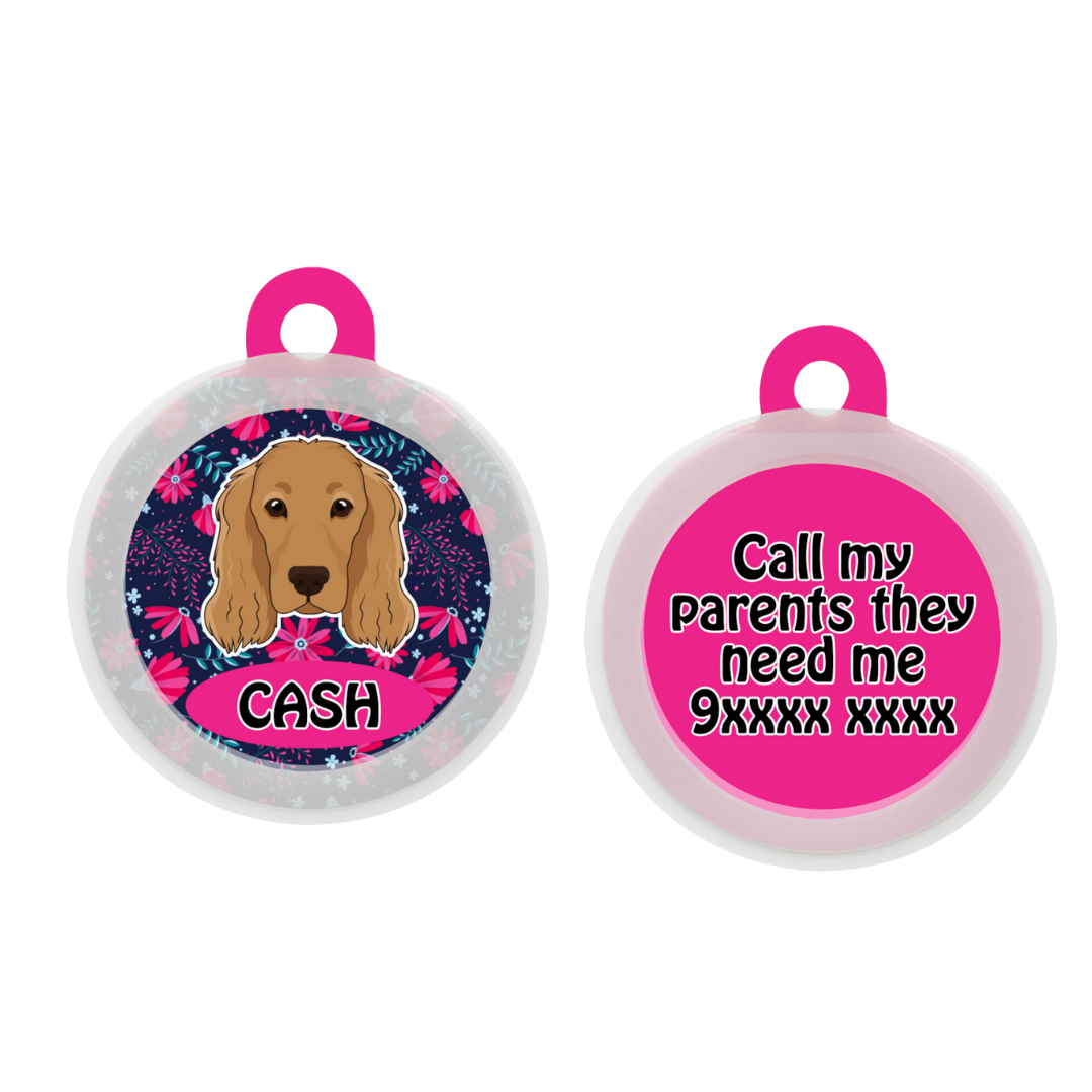 Cocker spaniel  - Collar & Tag