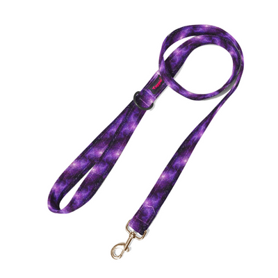 Cosmic Chronicles Leash