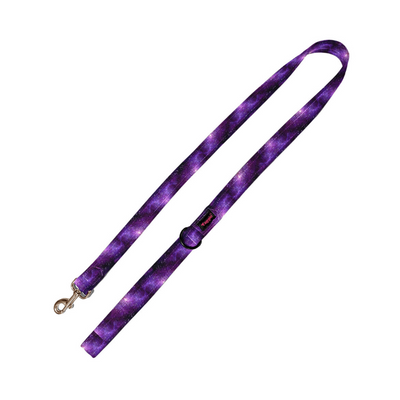 Cosmic Chronicles Leash