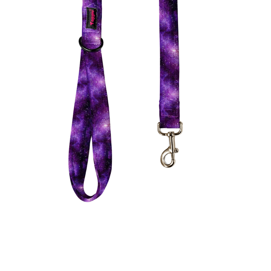 Cosmic Chronicles Leash