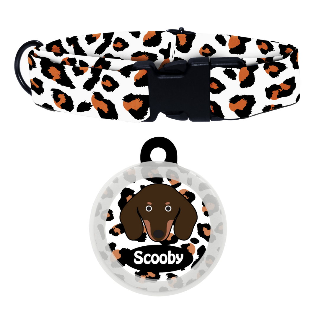 Dachshund   - Collar & Tag