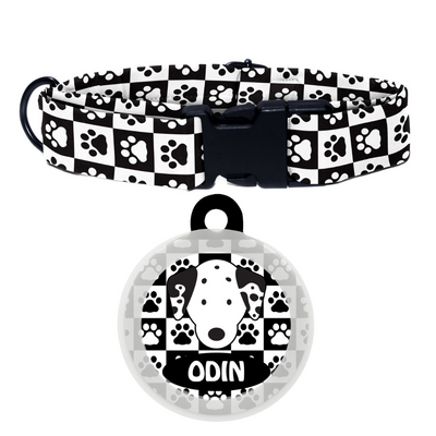 Dalmatian  - Collar & Tag