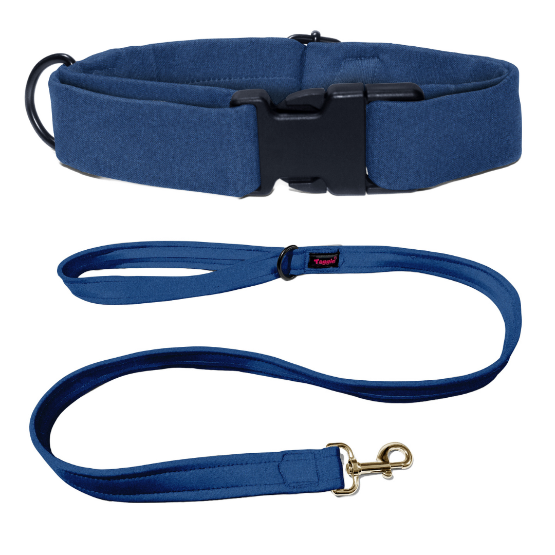 Denim Dream Collar-Leash