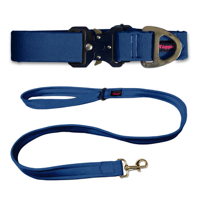 Denim Dream Collar-Leash