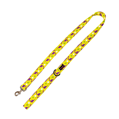 Dino Delight Leash