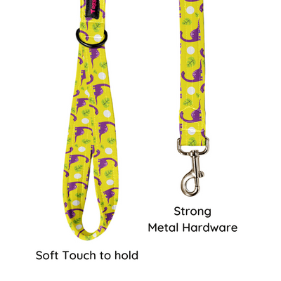 Dino Delight Leash