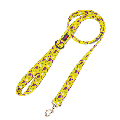 Dino Delight Leash