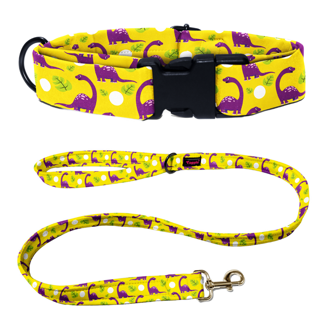 Dino Delight Collar-Leash