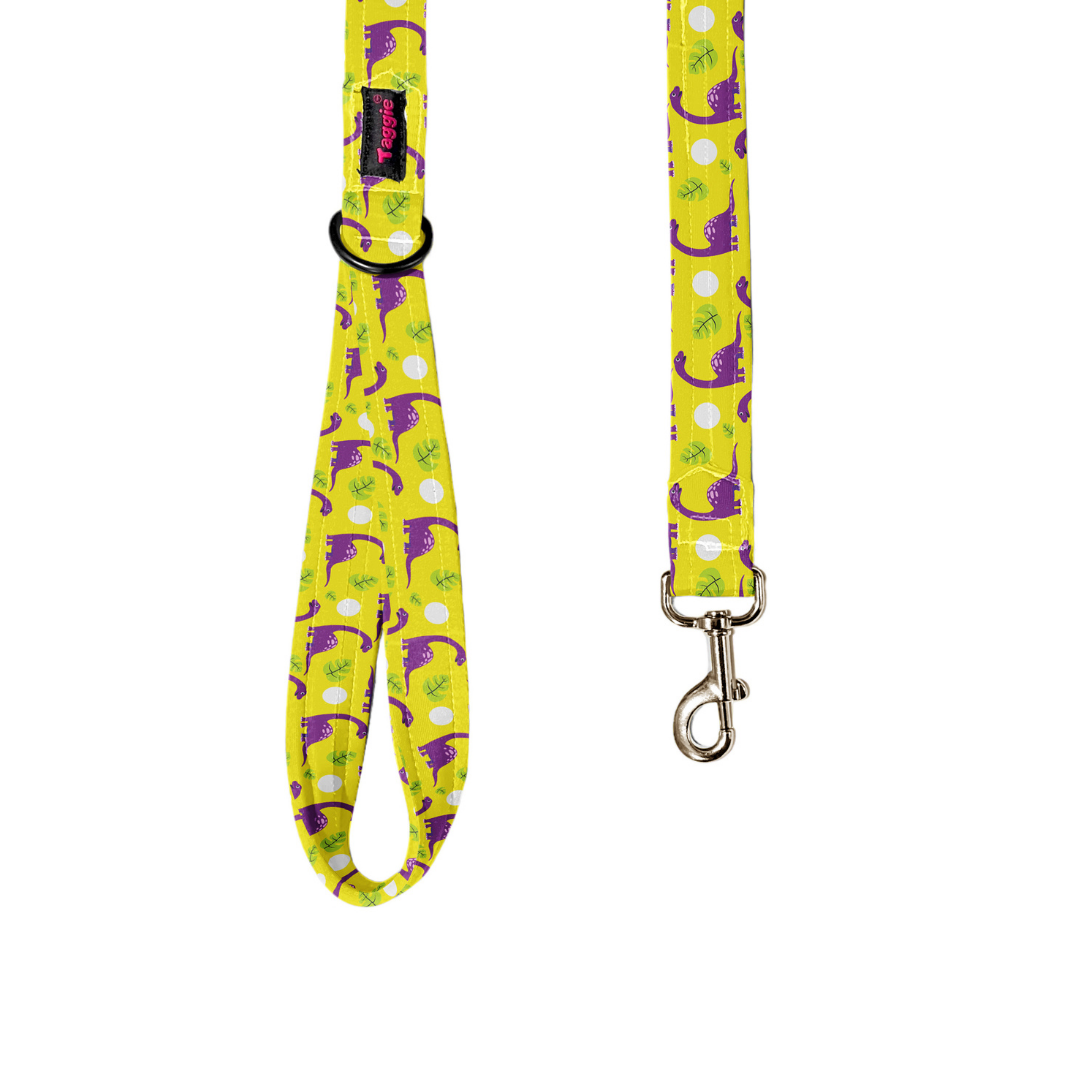 Dino Delight Leash