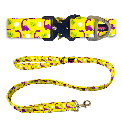 Dino Delight Collar-Leash