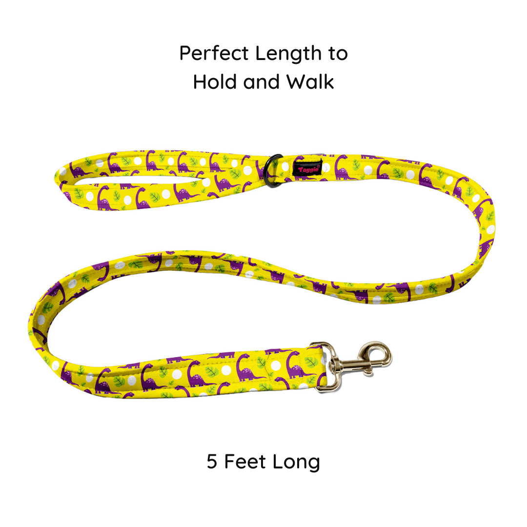 Dino Delight Collar-Leash