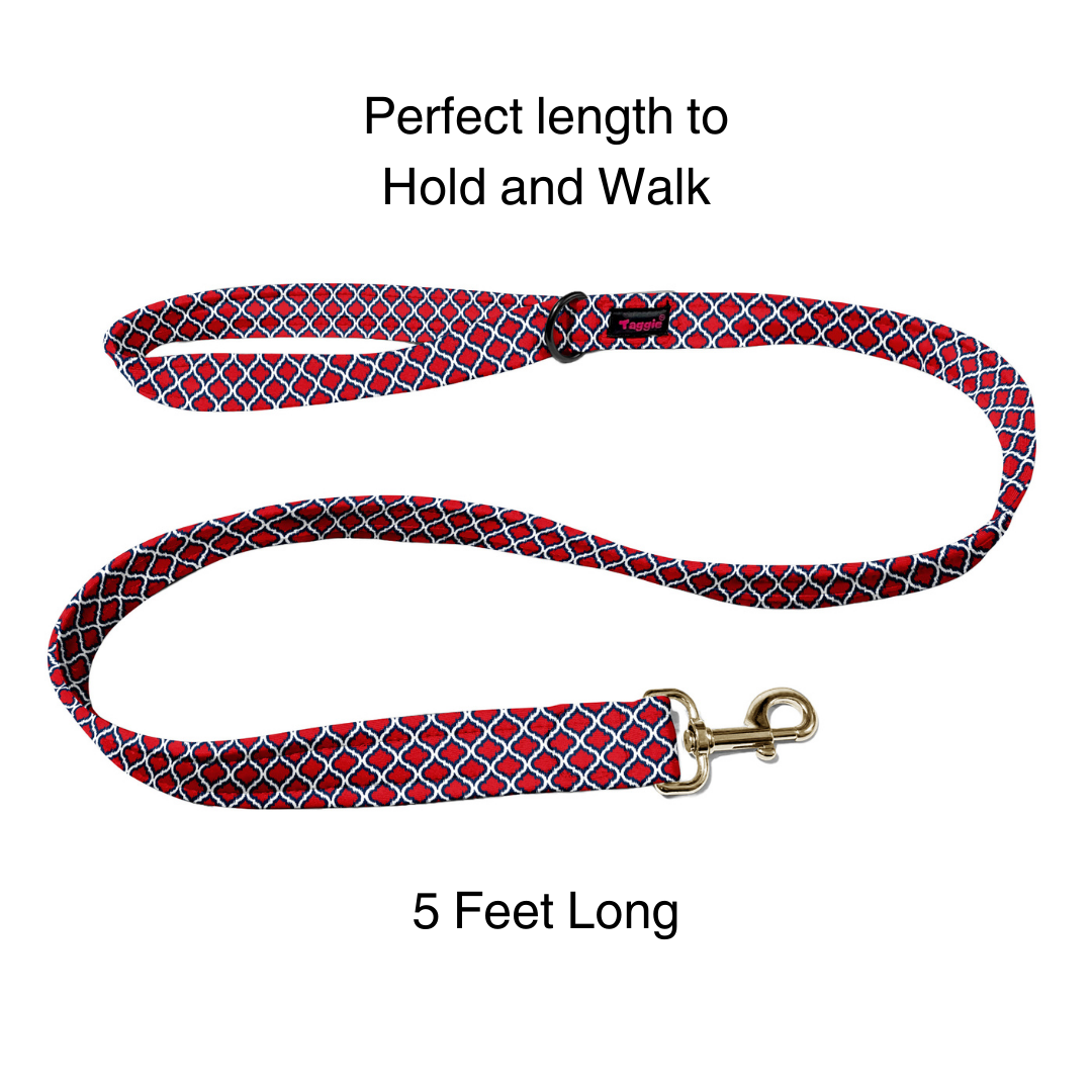 Jodhpur Jewel Collar-Leash