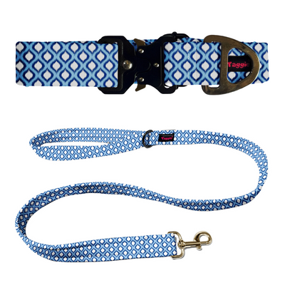 Midnight Mahal Collar-Leash