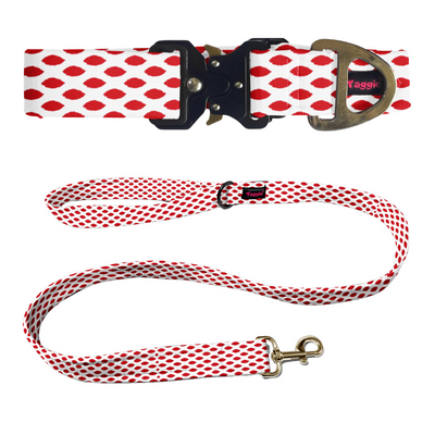 Paisley Pride Collar-Leash