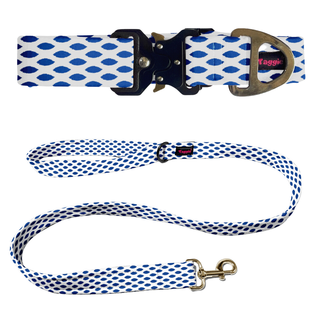 Ikkat Impressions Collar-Leash