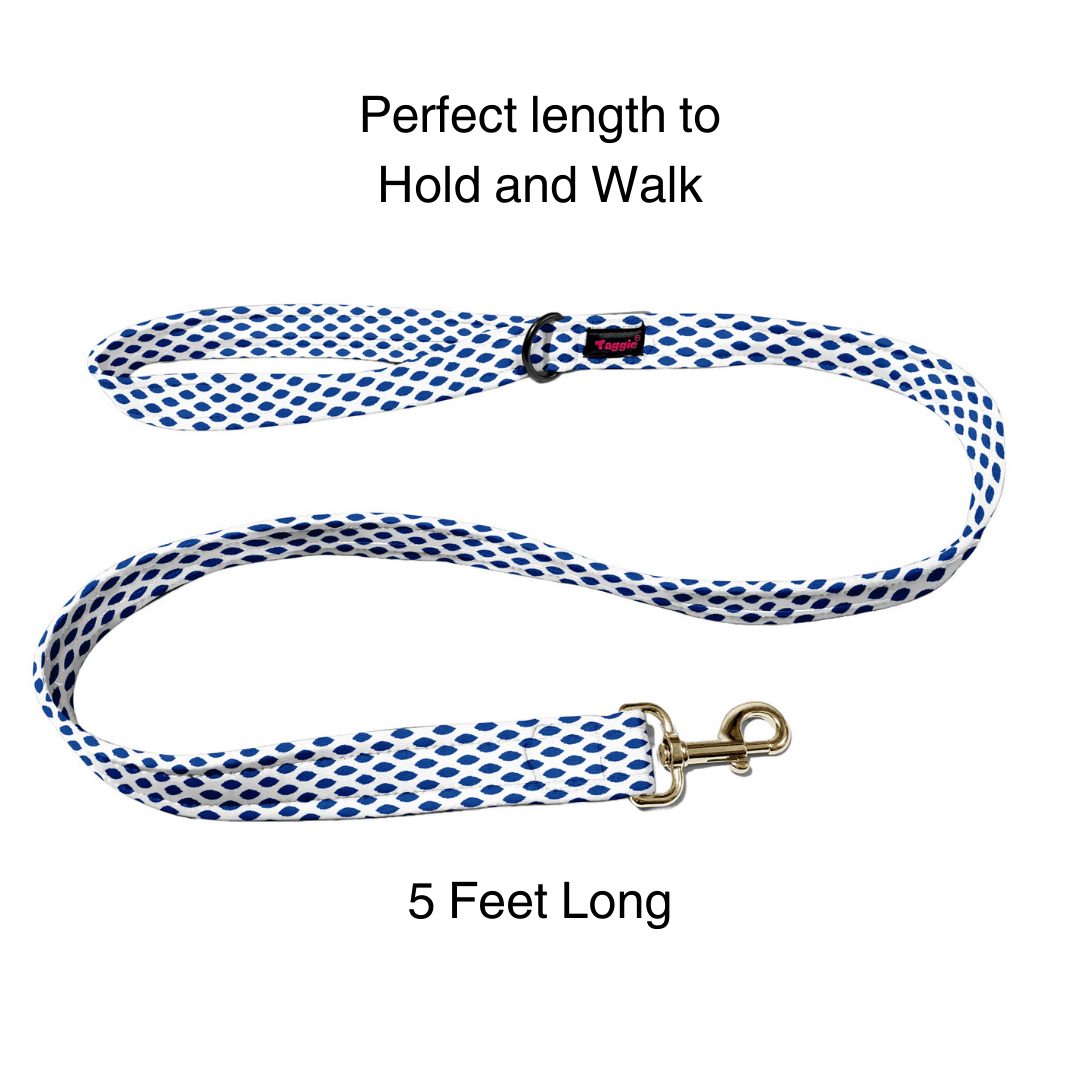 Ikkat Impressions Collar-Leash