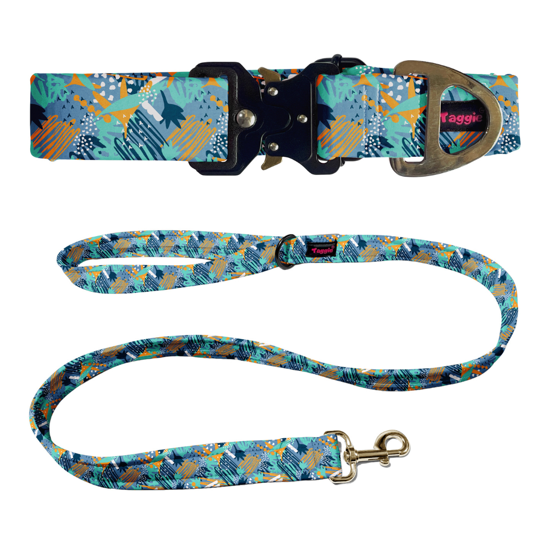 Free Spirit Collar-Leash