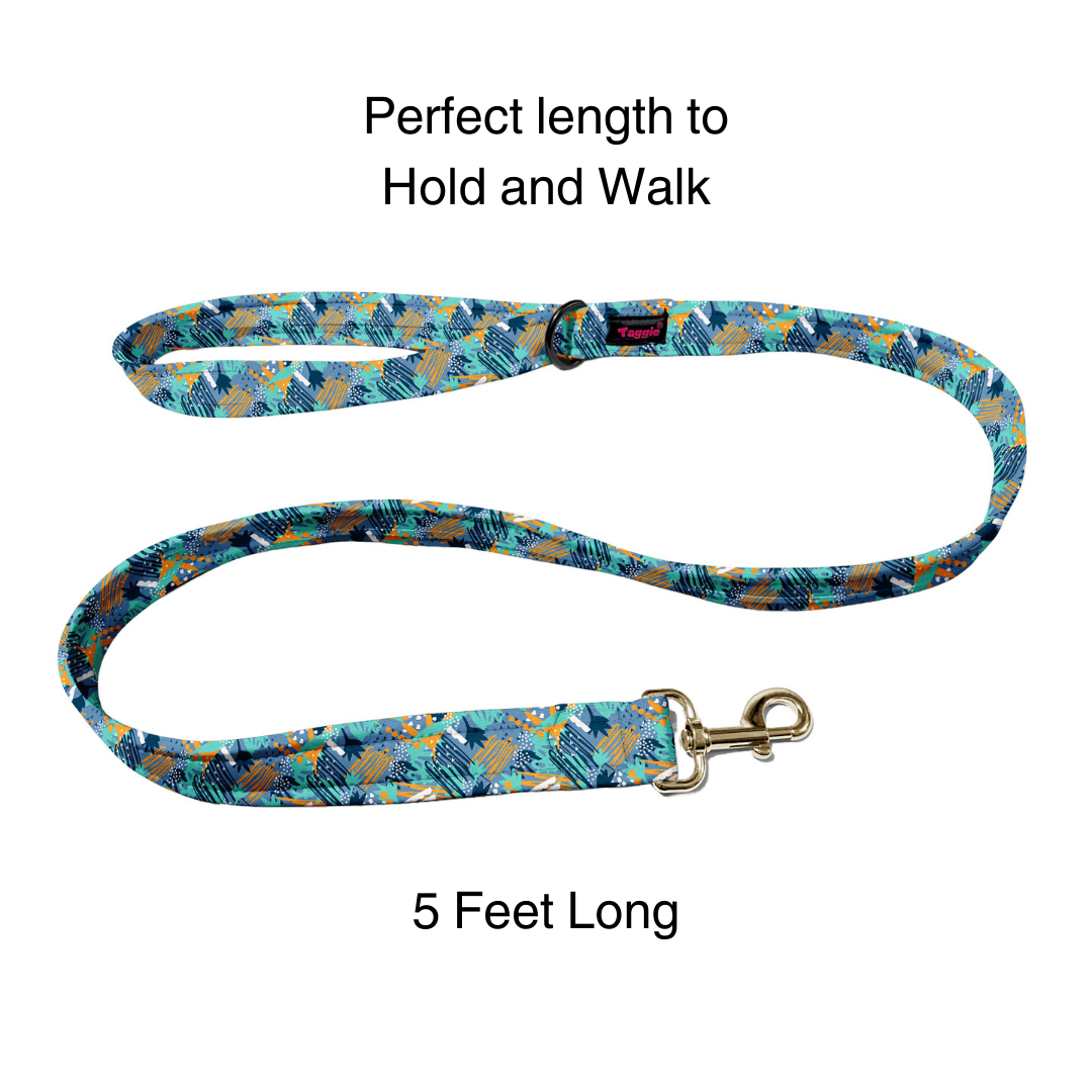 Free Spirit Leash