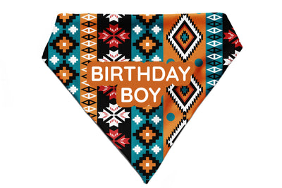 Earthy Hues - Bandana
