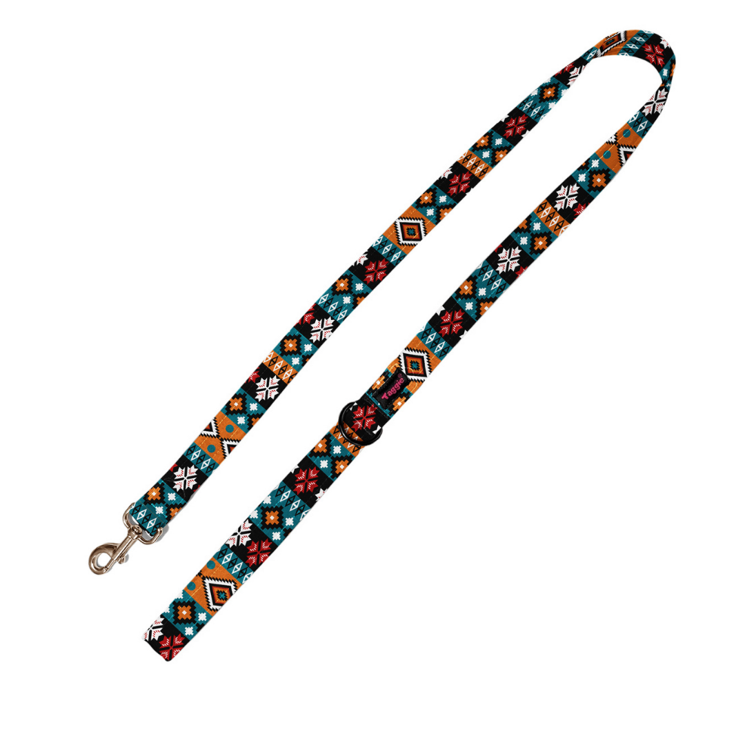 Earthy Hues Leash