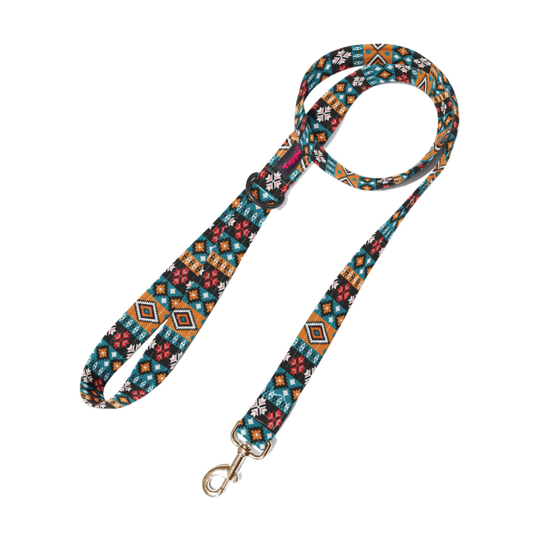 Earthy Hues Leash