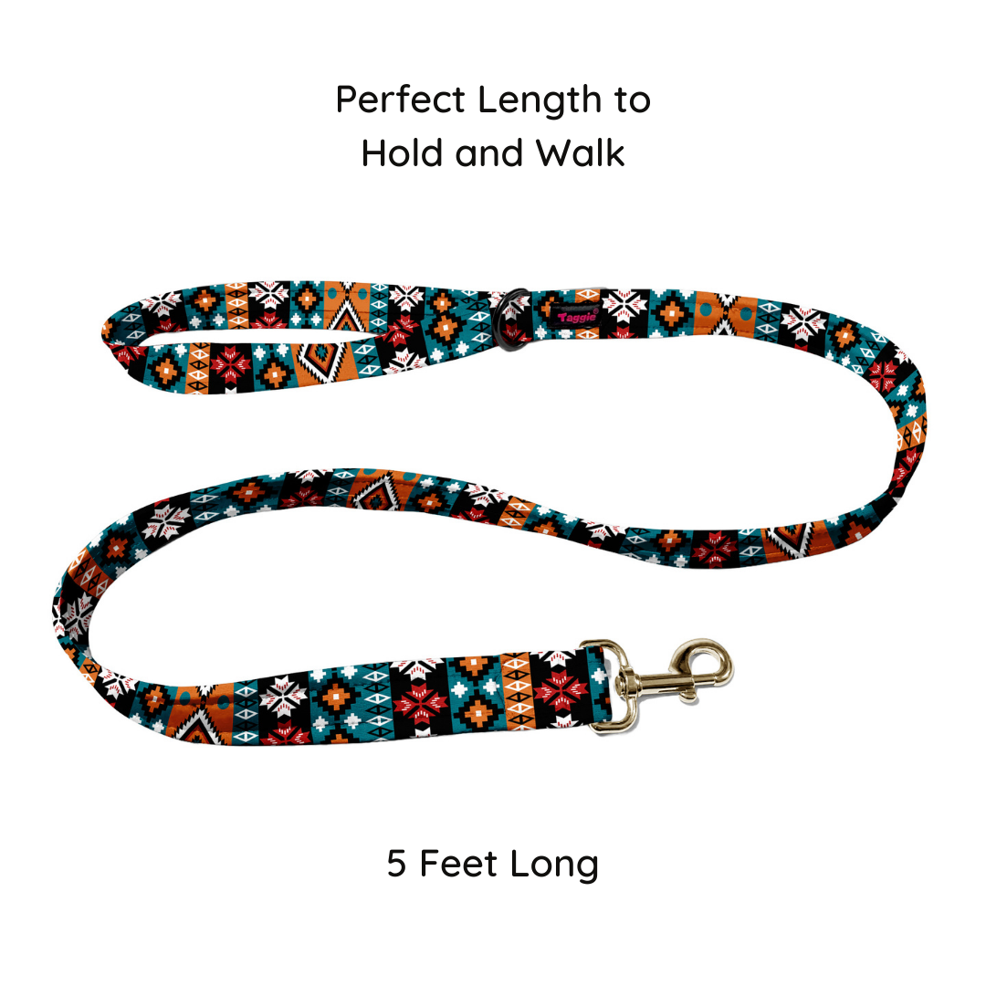 Earthy Hues Collar-Leash