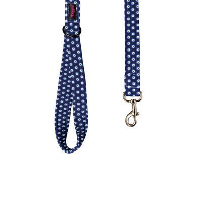 Evil Eye Leash