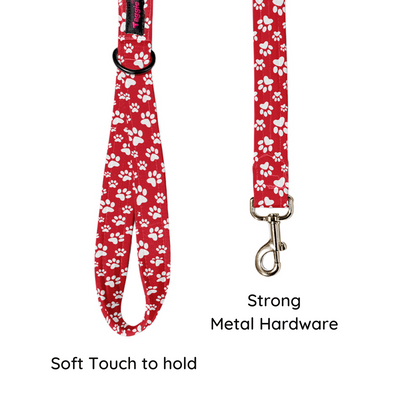 Fido's Favourite Leash