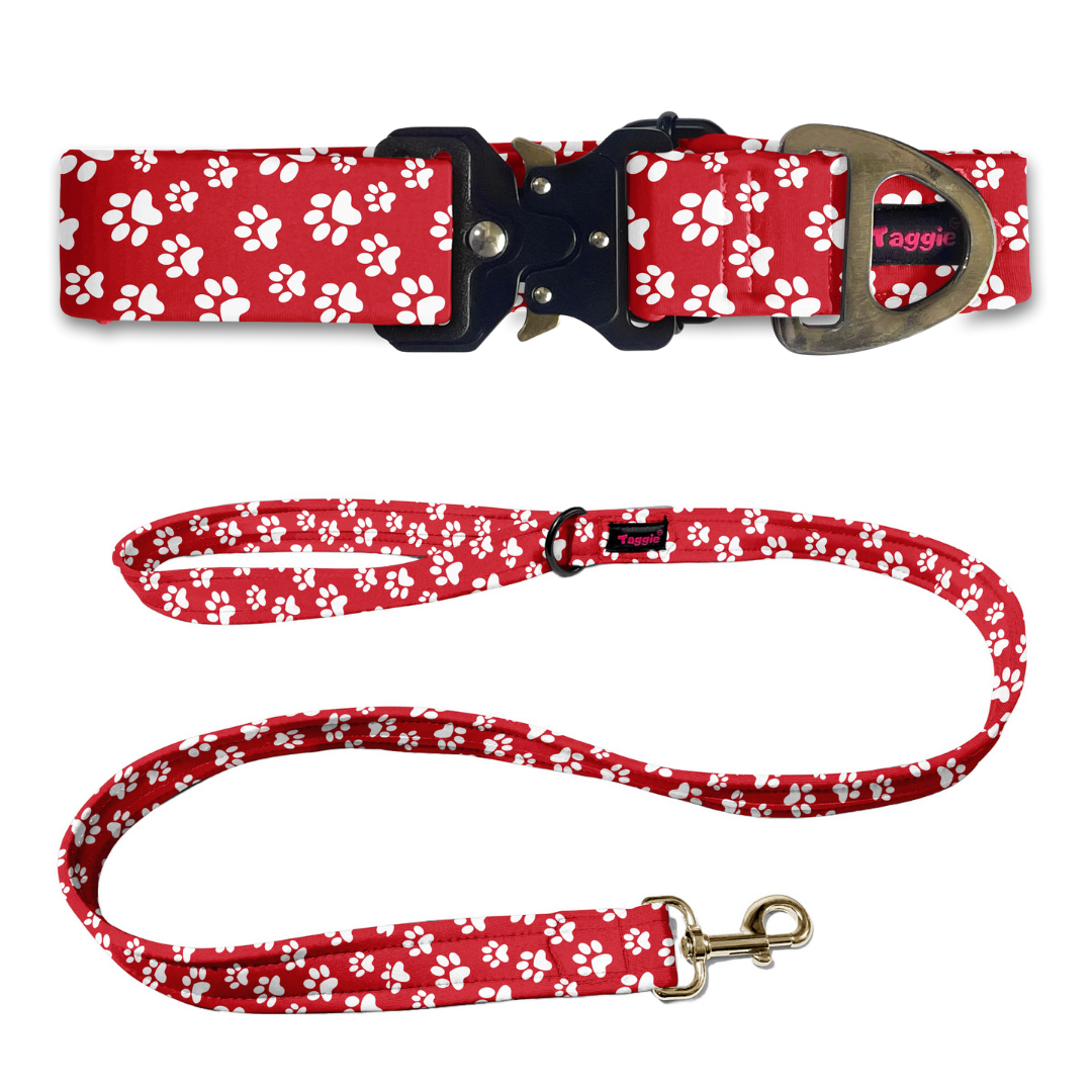 Fido's Favourite Collar-Leash