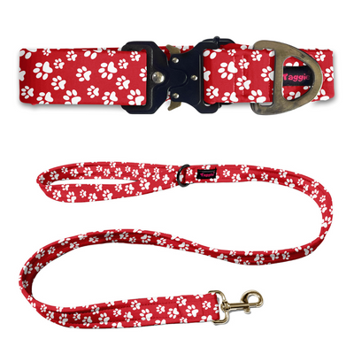 Fido's Favourite Collar-Leash